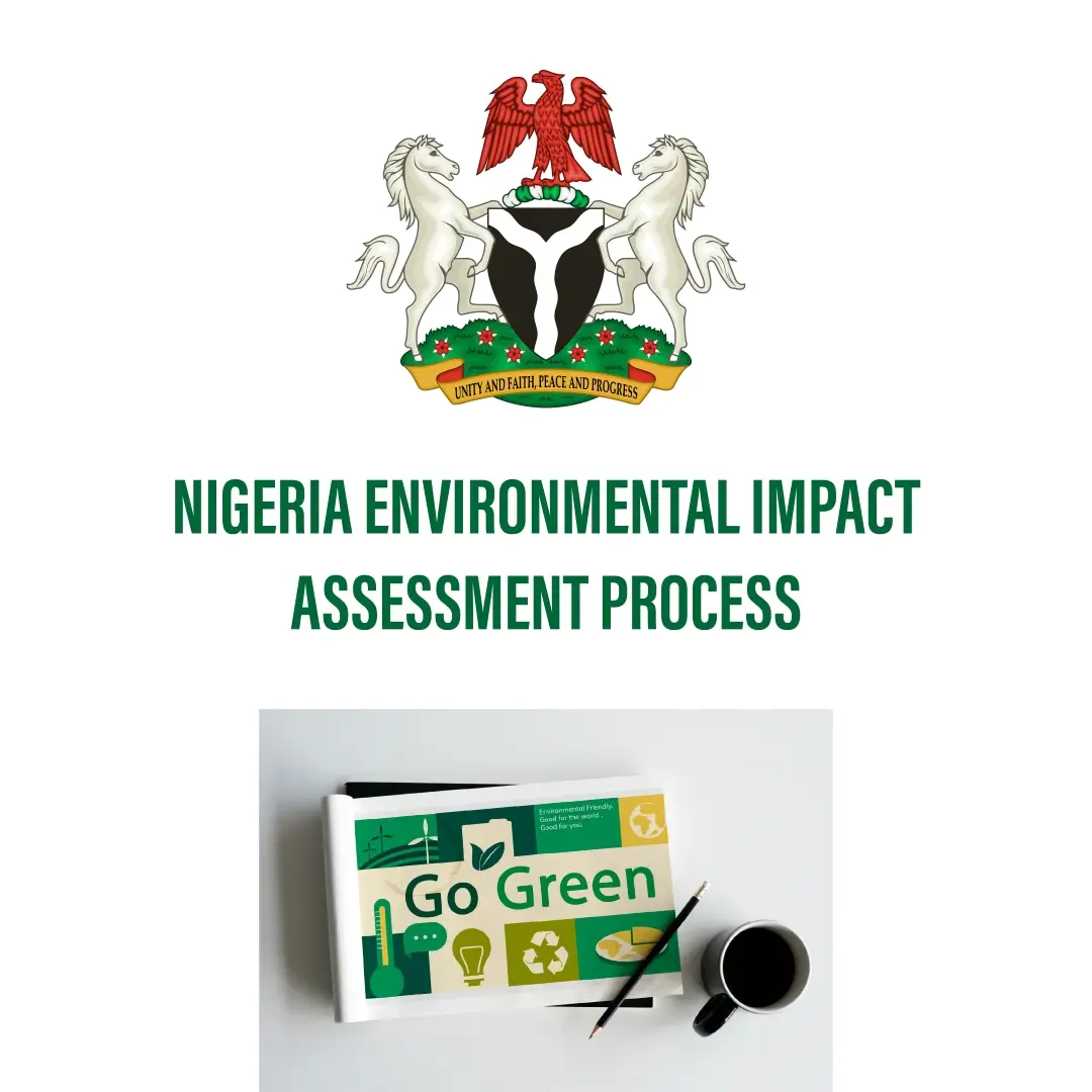 nigerian eia process